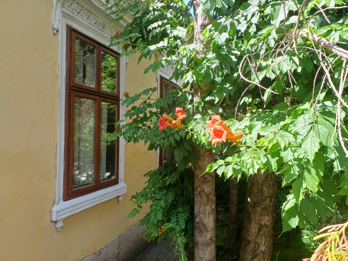 Blues Ryokan Kőszeg Eksteriør billede